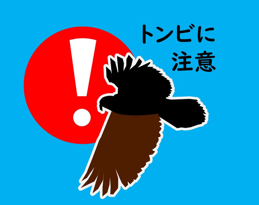 tonbi.jpg (138860)